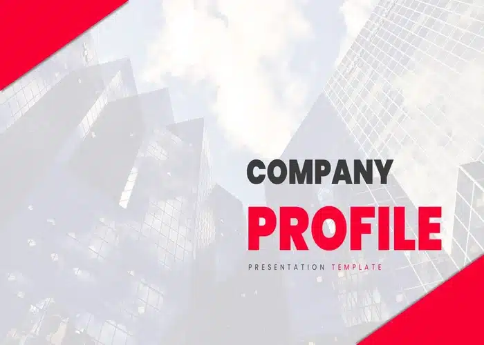 Company Profile